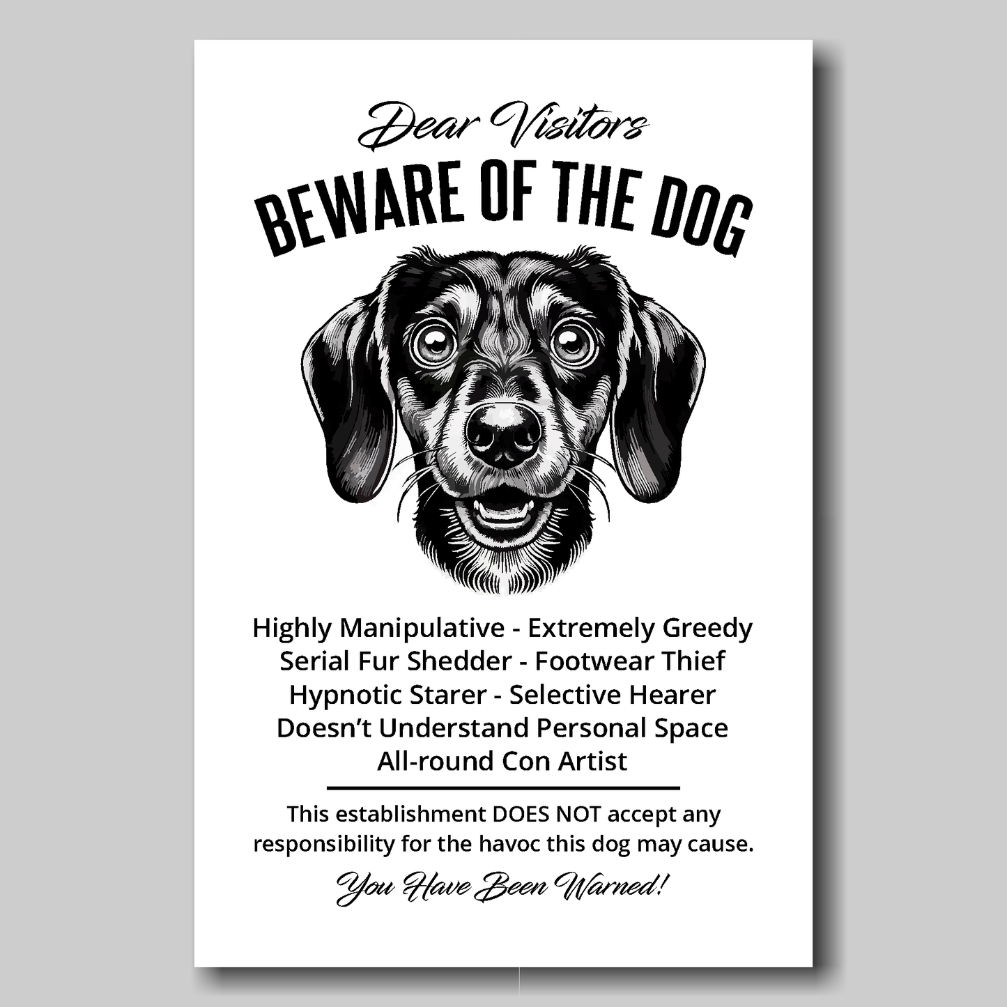A funny Dachshund 'Beware of the Dog' disclaimer notice. Black text and dog image on a white background. Available in 4 Canvas sizes. A great gift for dog owners.