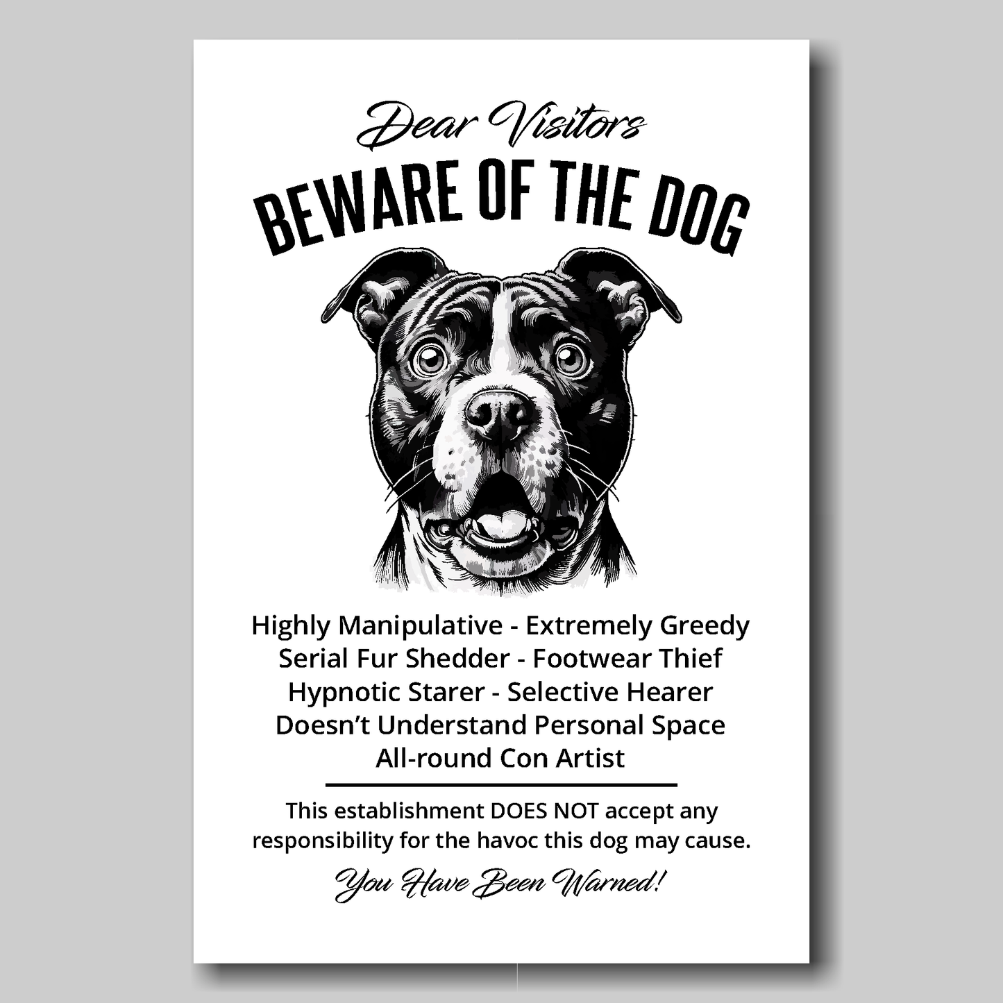 A funny Staffordshire Bull Terrier 'Beware of the Dog' disclaimer notice. Black text and dog image on a white background. Available in 4 Canvas sizes.