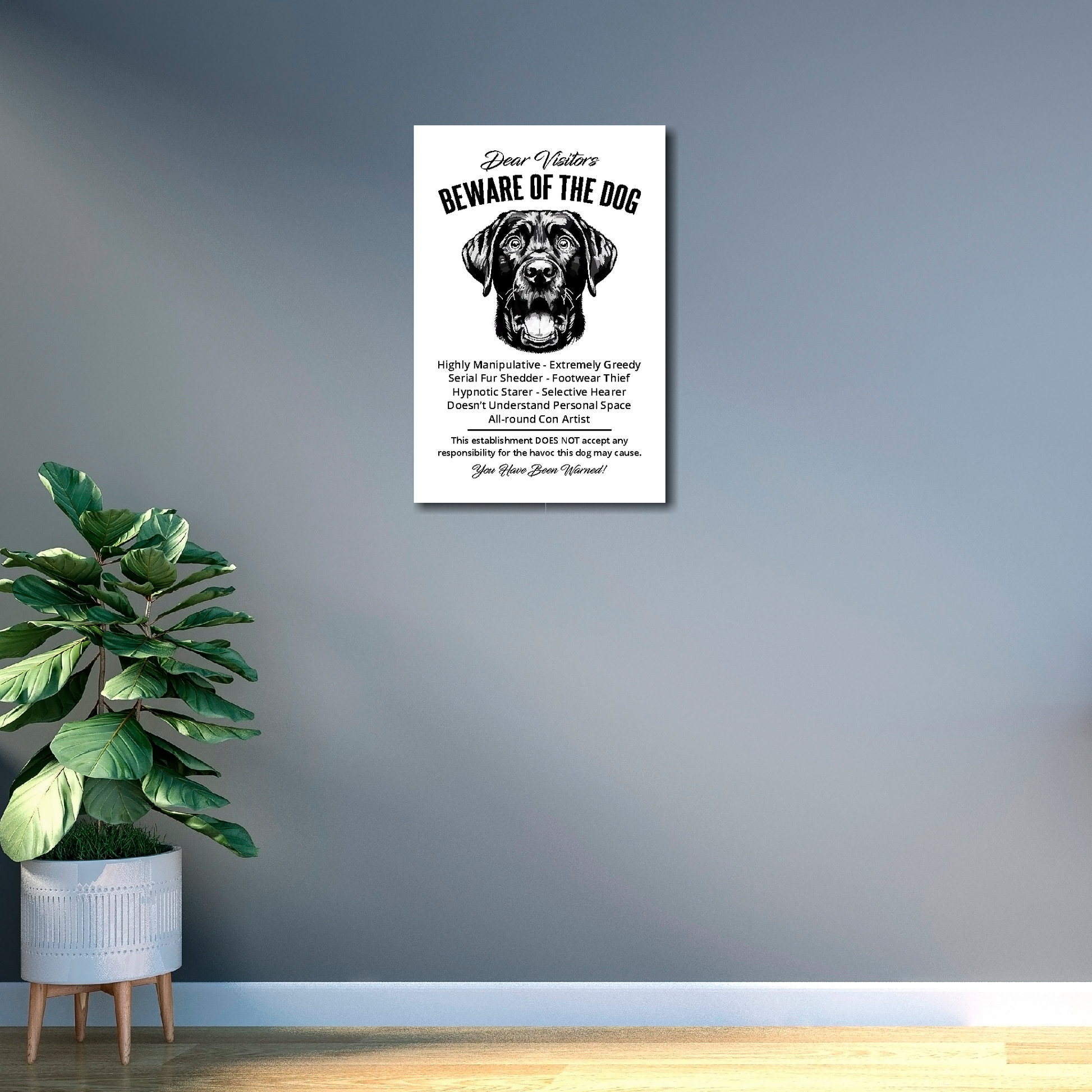 12 inch by 18 inch canvas print of a funny Black Labrador 'Beware of the Dog' notice. Mounted on a gray wall above a plant.