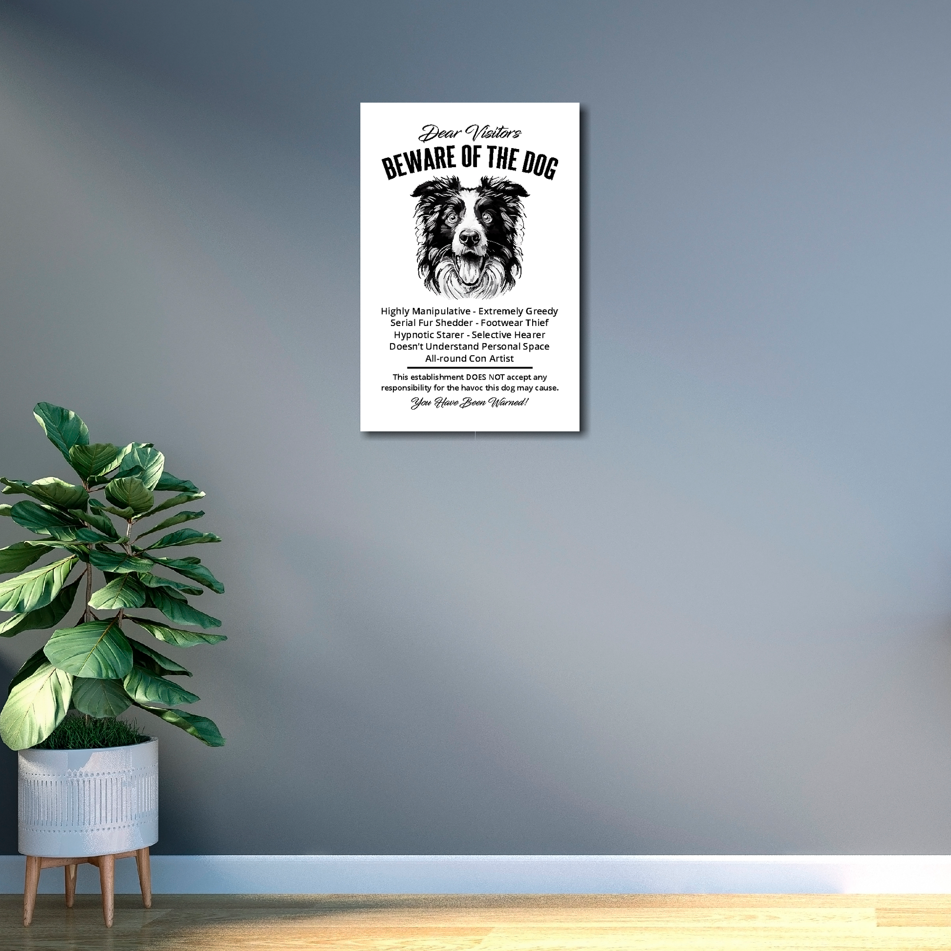 12 inch by 18 inch canvas print of a funny Border Collie 'Beware of the Dog' notice. Mounted on a gray wall above a plant.