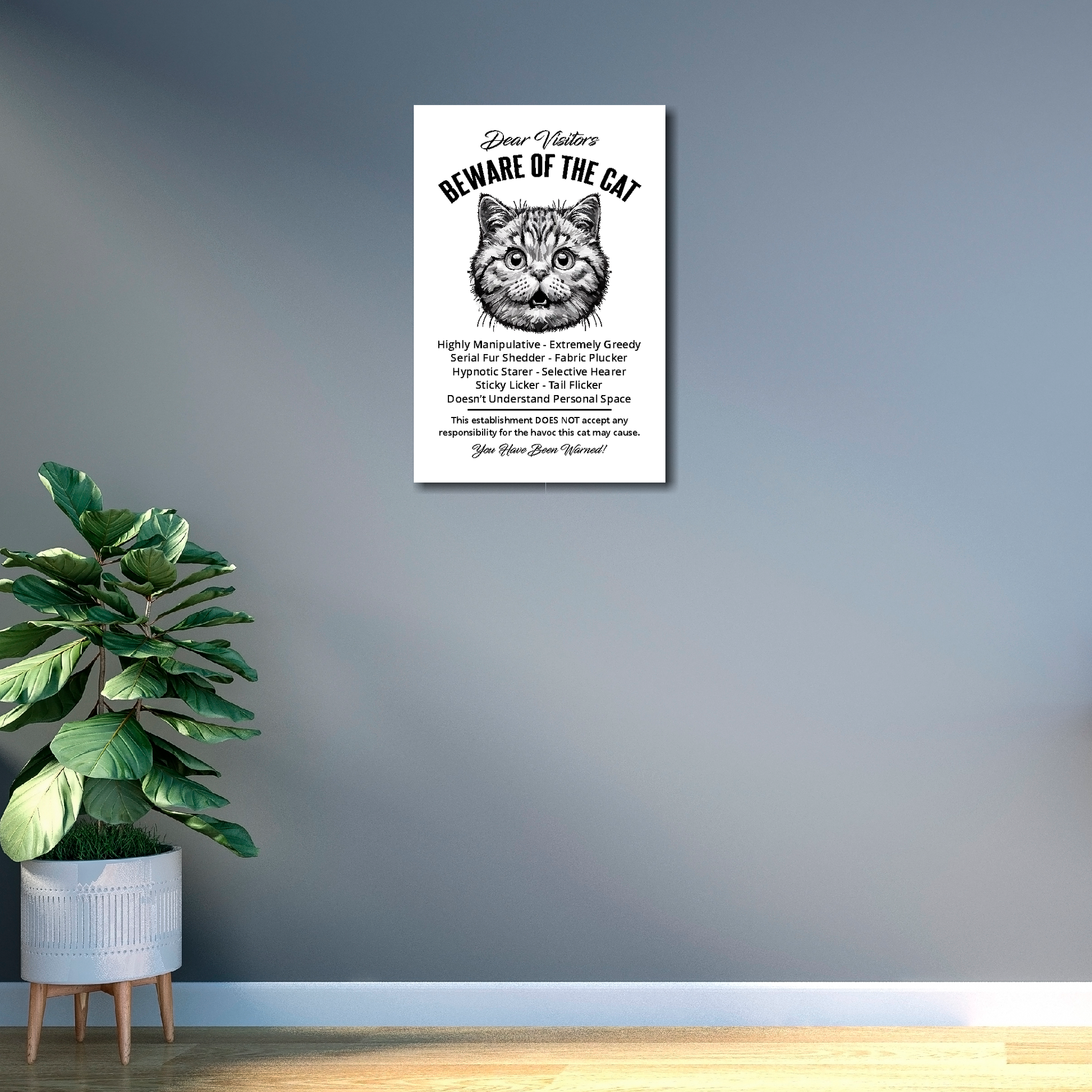 12 inch by 18 inch canvas print of a funny British Shorthair 'Beware of the cat' notice. Mounted on a gray wall next to a plant.