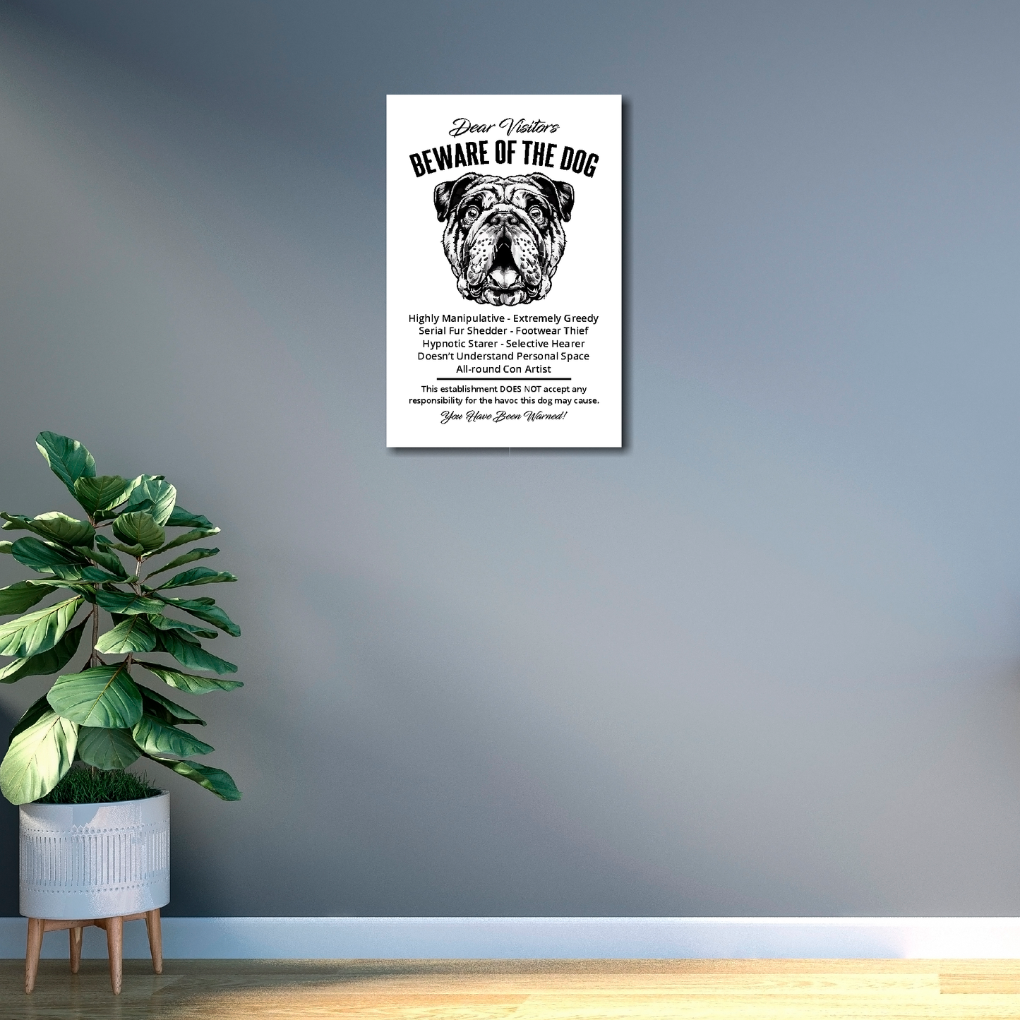 12 inch by 18 inch canvas print of a funny Bulldog 'Beware of the Dog' notice. Mounted on a gray wall above a plant.