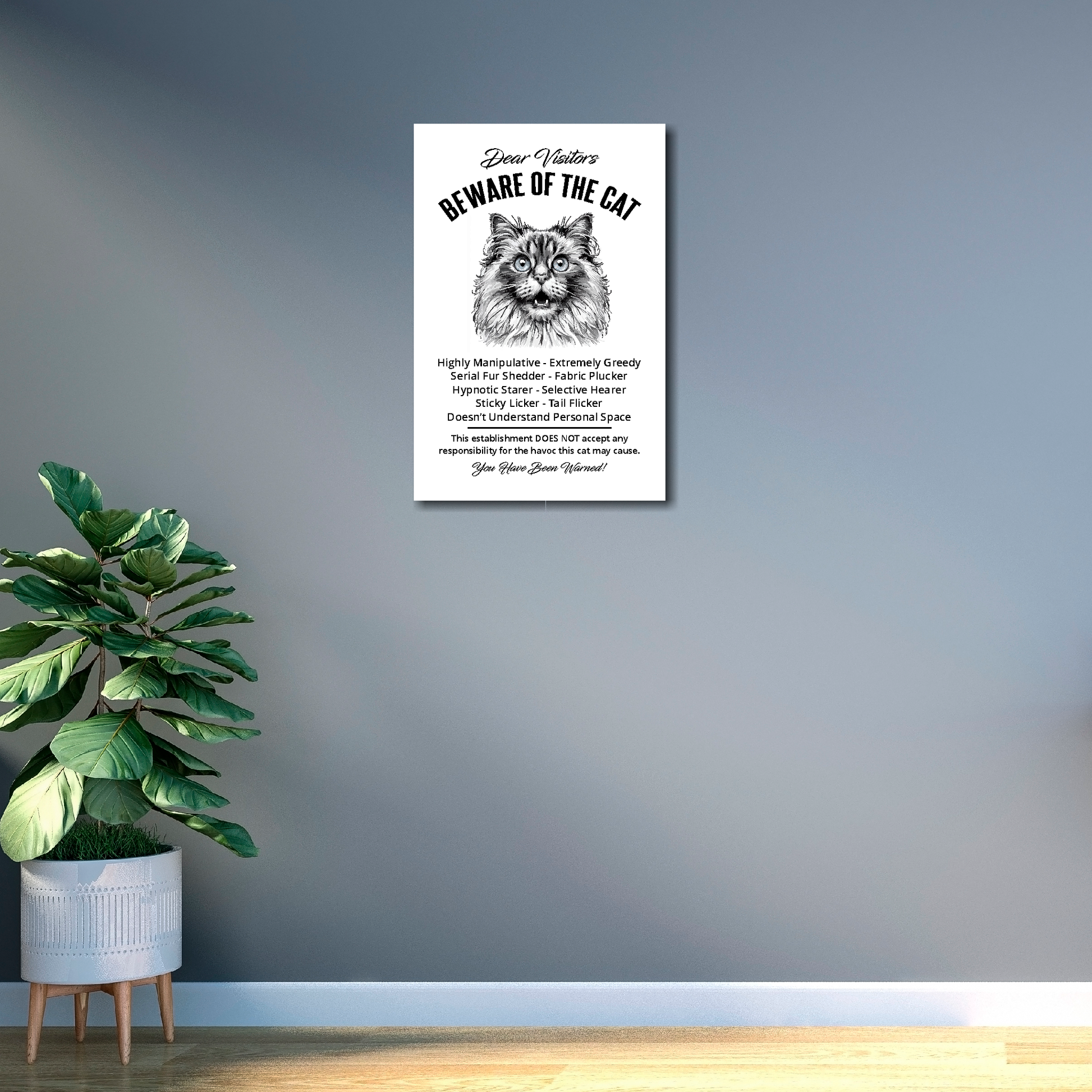 12 inch by 18 inch canvas print of a funny Ragdoll 'Beware of the cat' notice. Mounted on a gray wall above a plant.