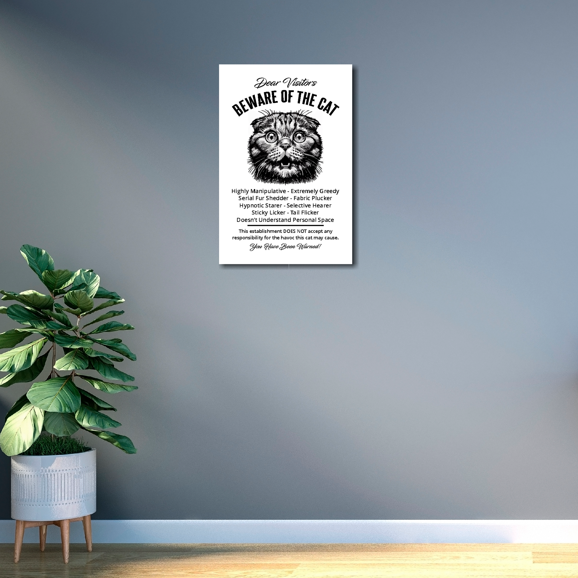 12 inch by 18 inch canvas print of a funny Scottish Fold 'Beware of the cat' notice. Mounted on a gray wall above a plant.