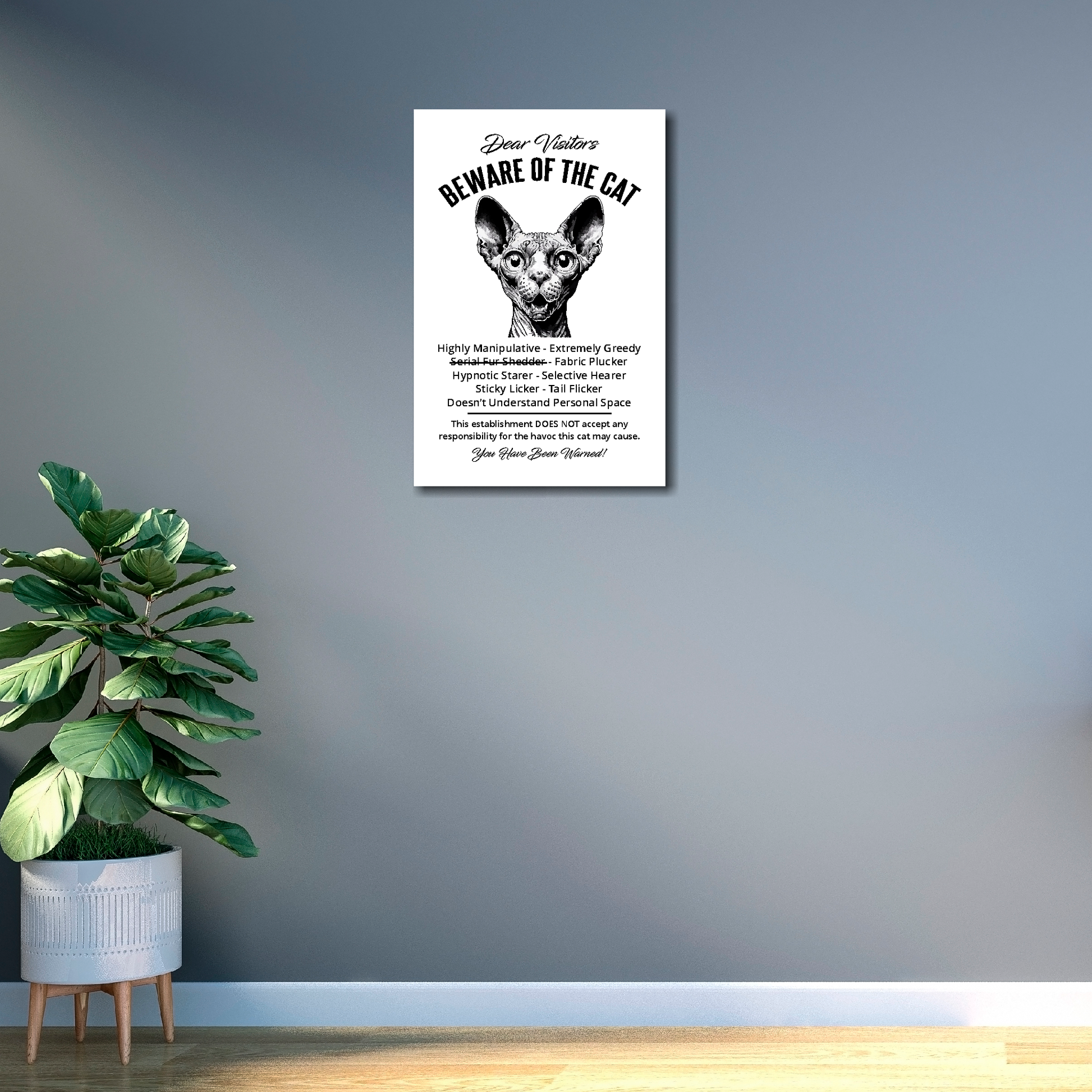 12 inch by 18 inch canvas print of a funny Sphynx 'Beware of the cat' notice. Mounted on a gray wall above a plant.