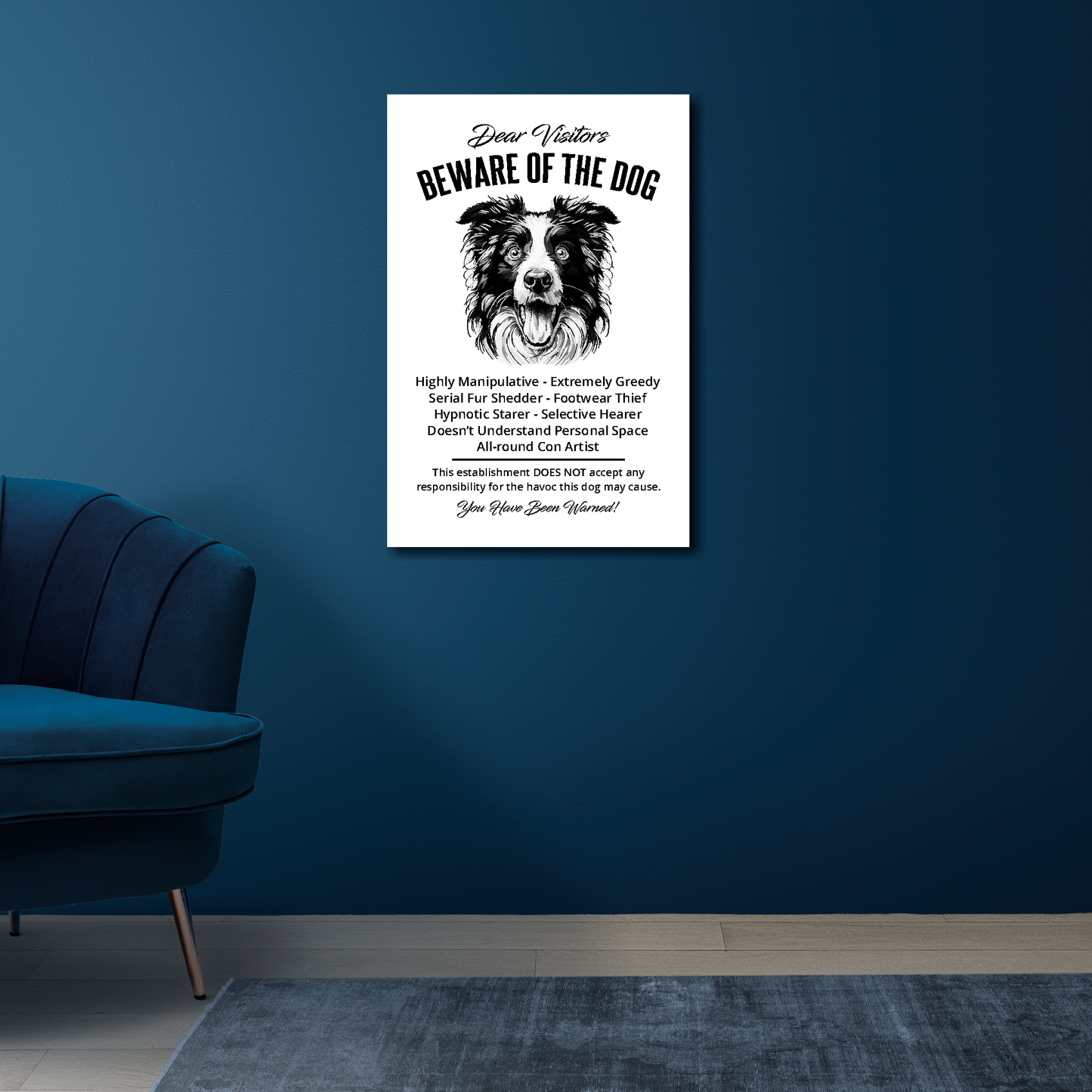 16 inch by 24 inch canvas print of a funny Border Collie 'Beware of the Dog' notice. Mounted on a blue wall above a blue chair.