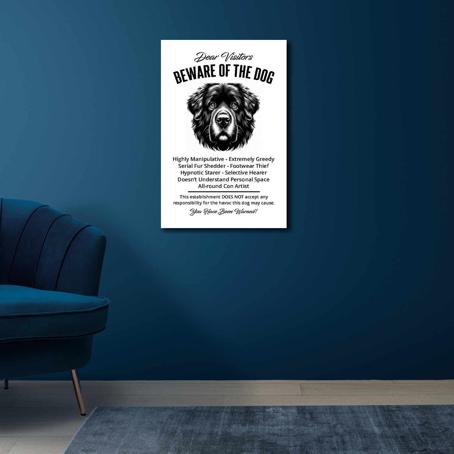16 inch by 24 inch canvas print of a funny Newfoundland 'Beware of the Dog' notice. Mounted on a blue wall above a blue chair.