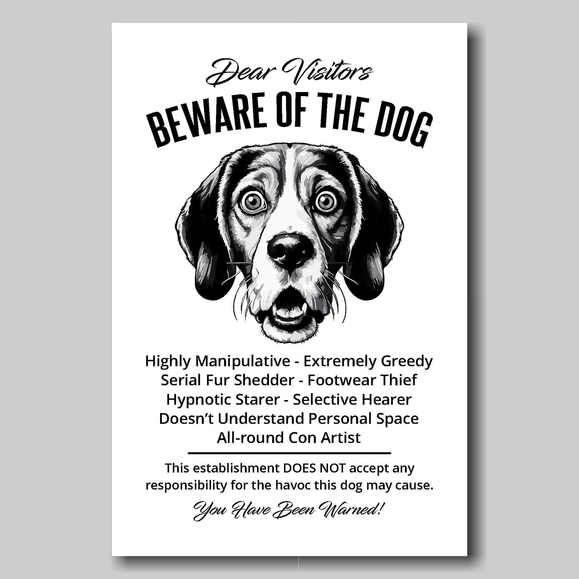 A funny Beagle 'Beware of the Dog' disclaimer notice. Black text and dog image on a white background. Available in 4 Canvas sizes. A great gift for dog owners.