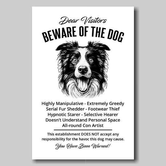 A funny Border Collie 'Beware of the Dog' disclaimer notice. Black text and dog image on a white background. Available in 4 Canvas sizes. A great gift for dog owners.