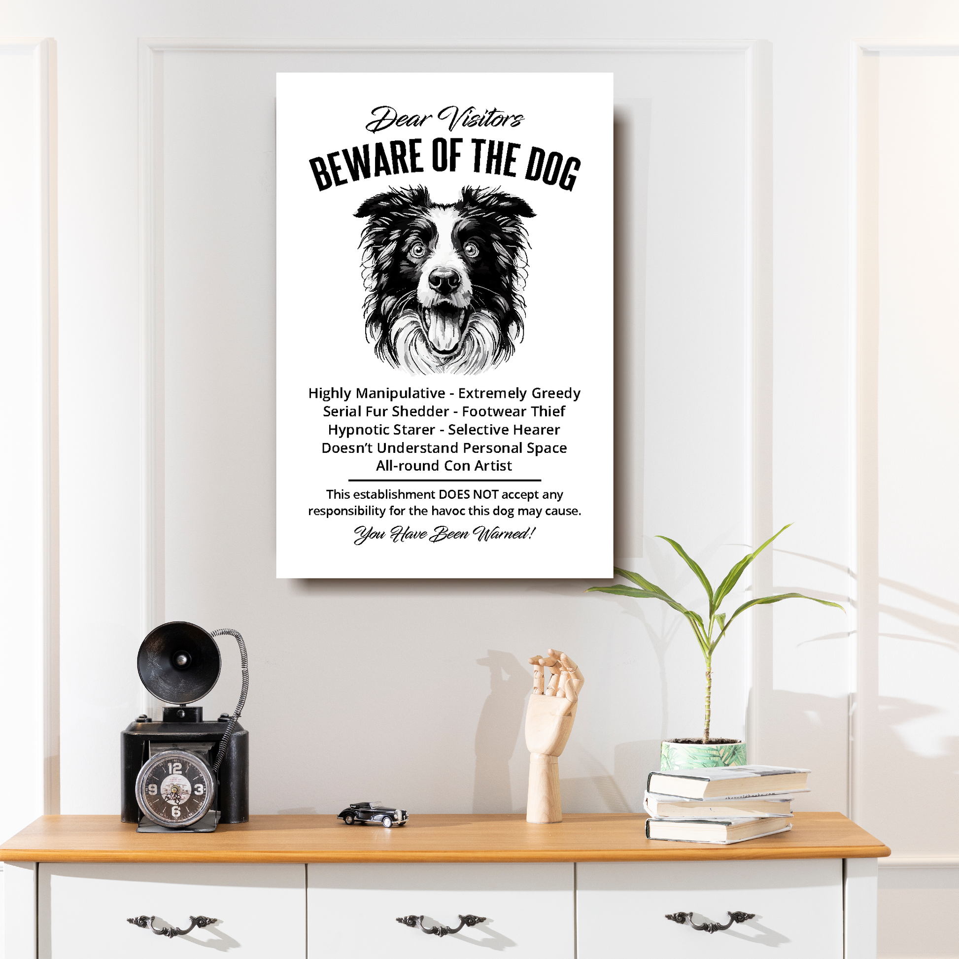 A funny Border Collie 'Beware of the Dog' disclaimer notice. Black text and dog image on a white background. Mounted on a white wall above a set of drawers.