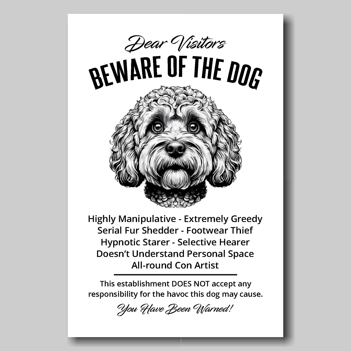 A funny Cockapoo 'Beware of the Dog' disclaimer notice. Black text and dog image on a white background. Available in 4 Canvas sizes. A humorous gift for dog owners.