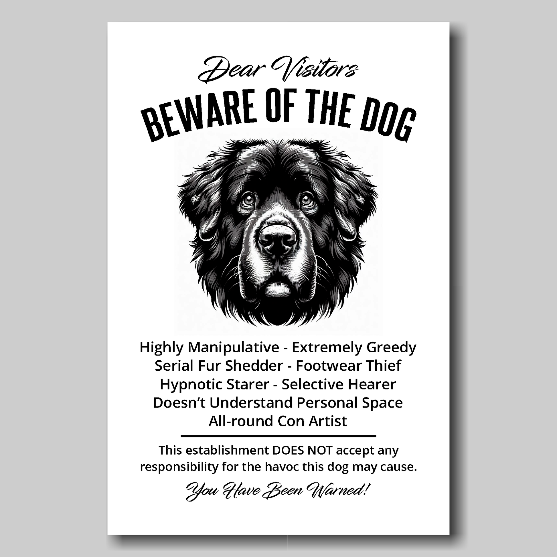 A funny Newfoundland 'Beware of the Dog' disclaimer notice. Black text and dog image on a white background. Available in 4 Canvas sizes. A great gift for dog owners.