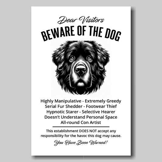 A funny Newfoundland 'Beware of the Dog' disclaimer notice. Black text and dog image on a white background. Available in 4 Canvas sizes. A great gift for dog owners.