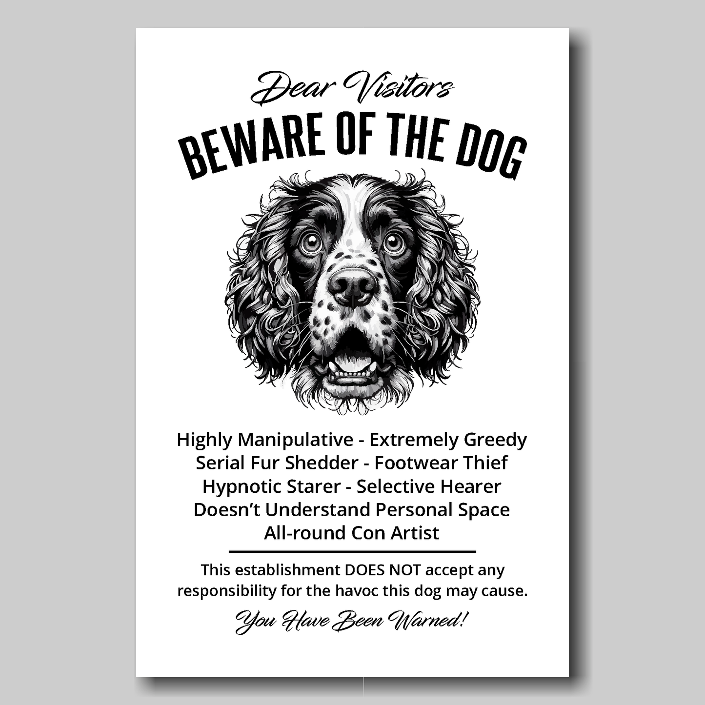 A funny Springer Spaniel 'Beware of the Dog' disclaimer notice. Black text and dog image on a white background. Available in 4 Canvas sizes. A great gift for dog owners.